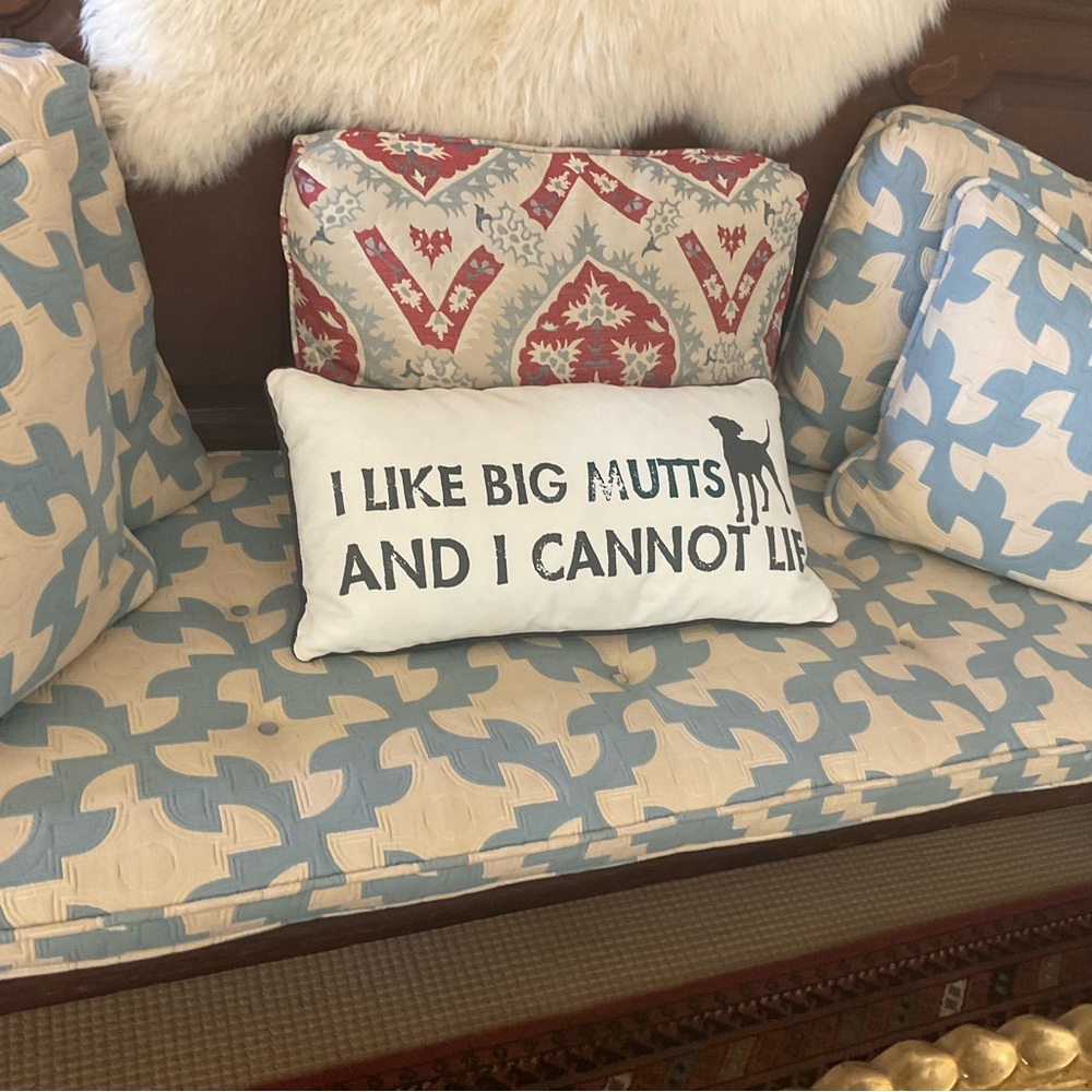 Dog Pillow with Fun Quote I like big mutts and I cannot lie